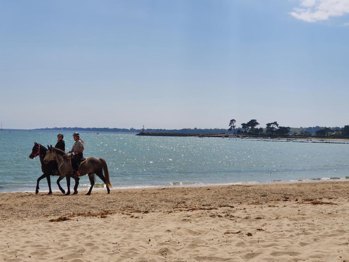 Vacances O Loch - Studio A 200 Metres De La Plage - Le Cap Coz Fouesnant Kültér fotó